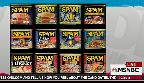 Picture of Spam